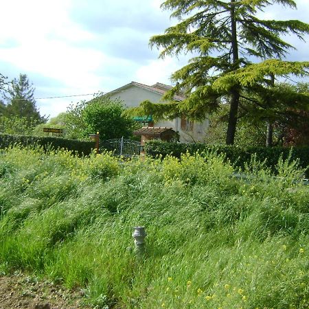 B&B La Mimosa Спело Екстериор снимка
