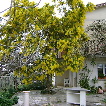 B&B La Mimosa Спело Екстериор снимка