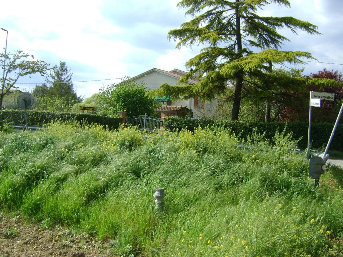 B&B La Mimosa Спело Екстериор снимка